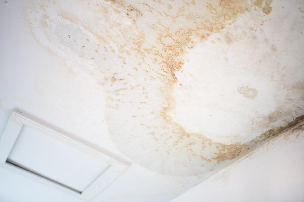 Ceiling water damage from a roof leak